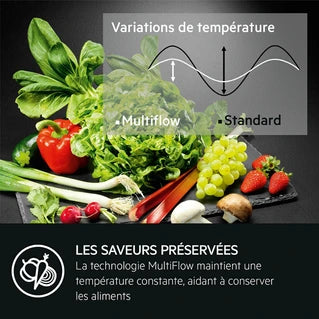 Réfrigérateur congélateur en bas Aeg OSC6M18FDS encastrable 178 cm